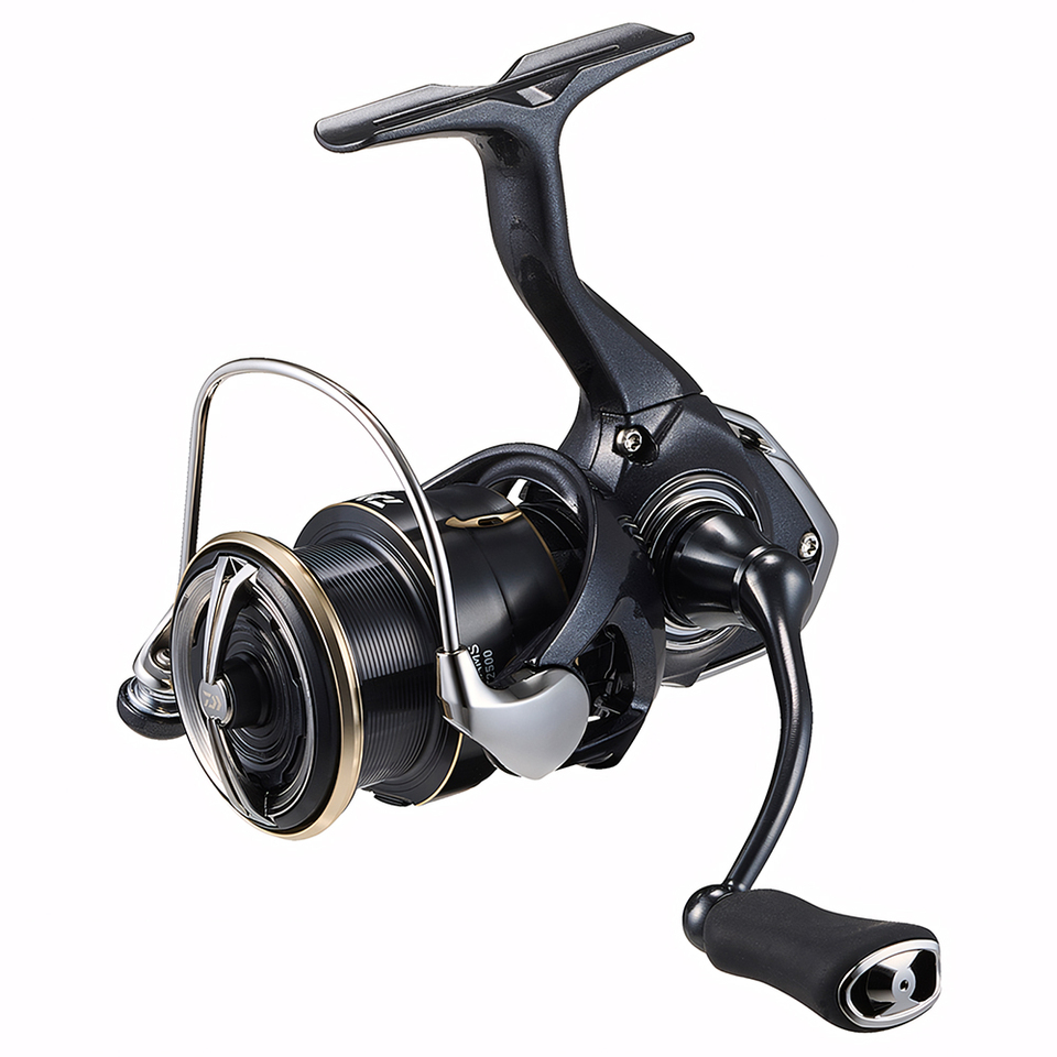 Mulinello da Spinning DAIWA 20 - Daiwa Reel Bg recensione e prezzo